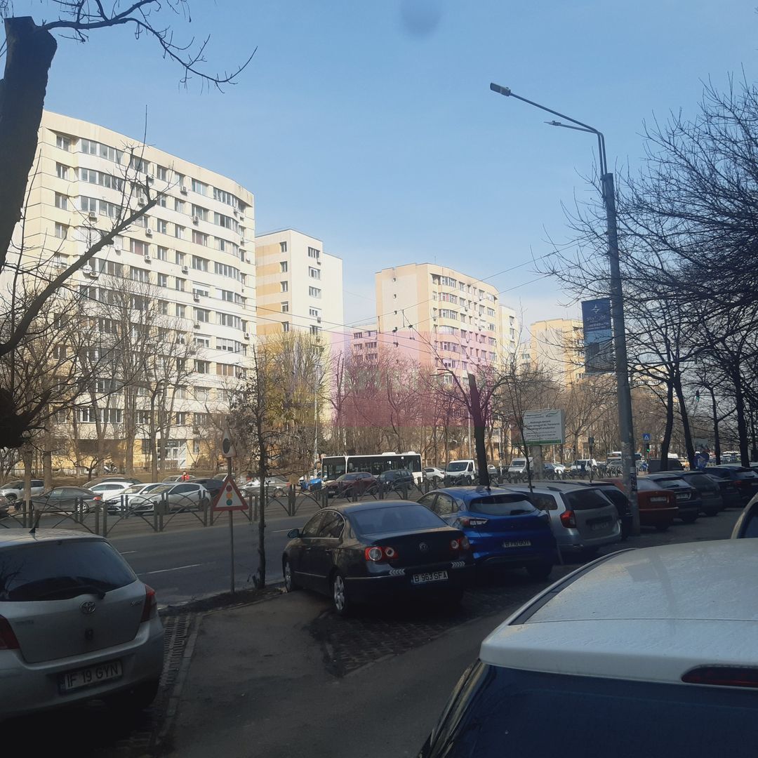 Spatiu Comercial Stradal Șoseaua Colentina zona Teiul Doamnei Suveica