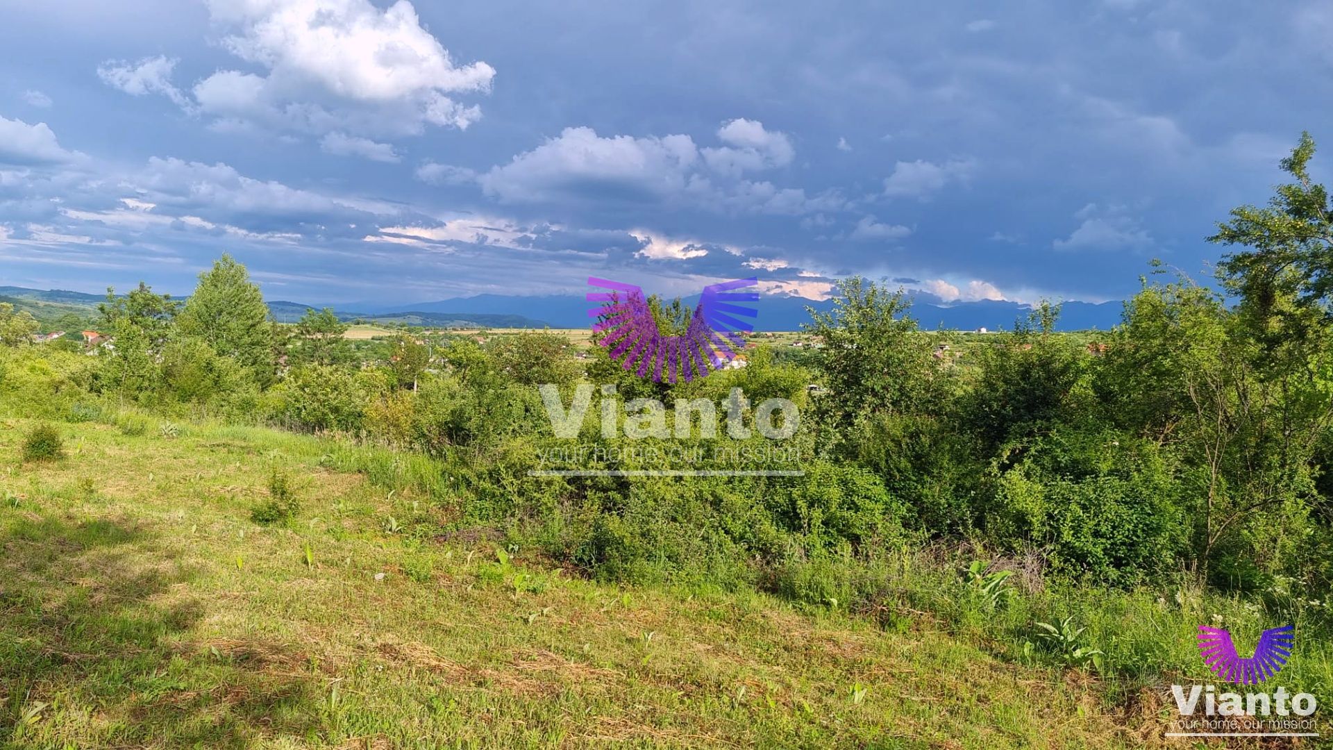 Teren Intravilan 1000mp-Zona Daia