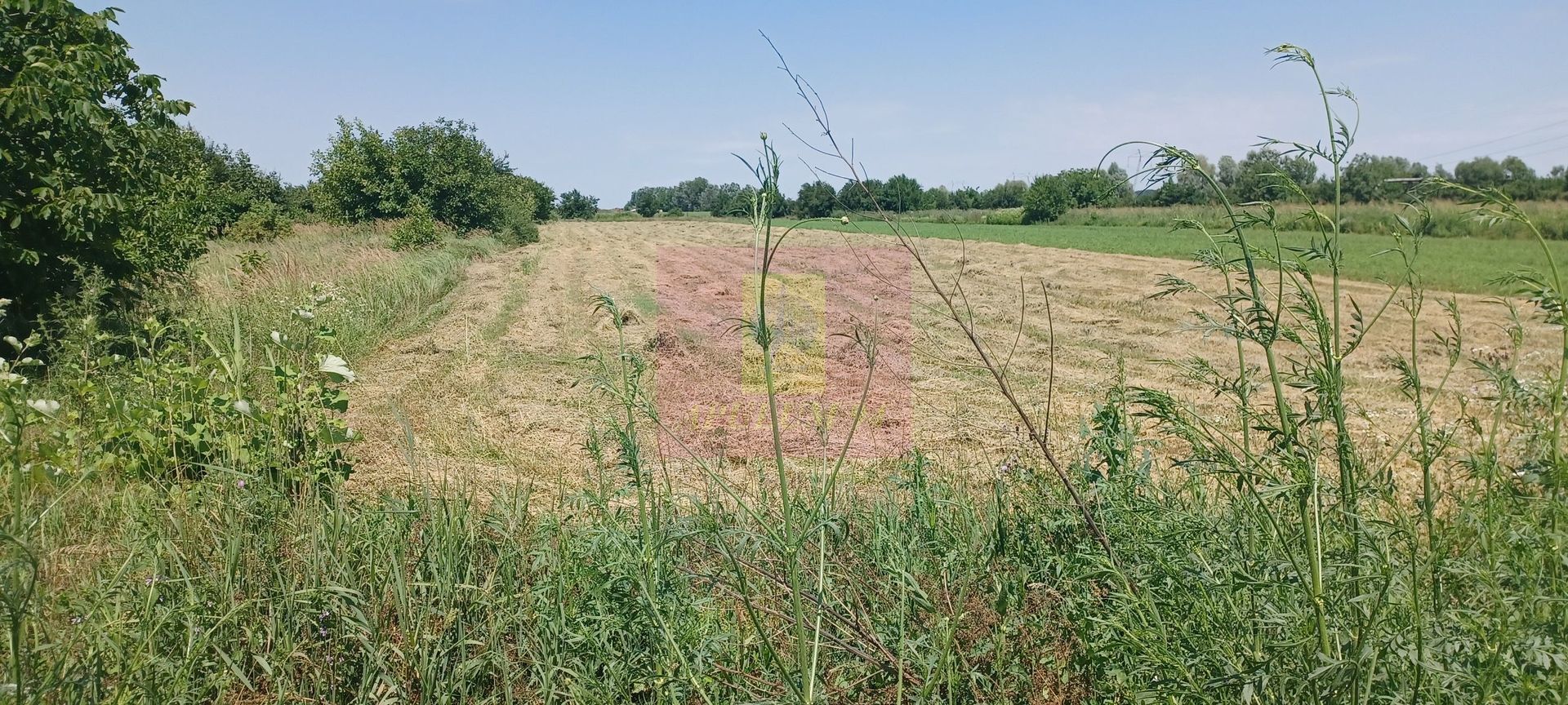 Săbăreni, teren intravilan 665 mp, aproape de DJ 602