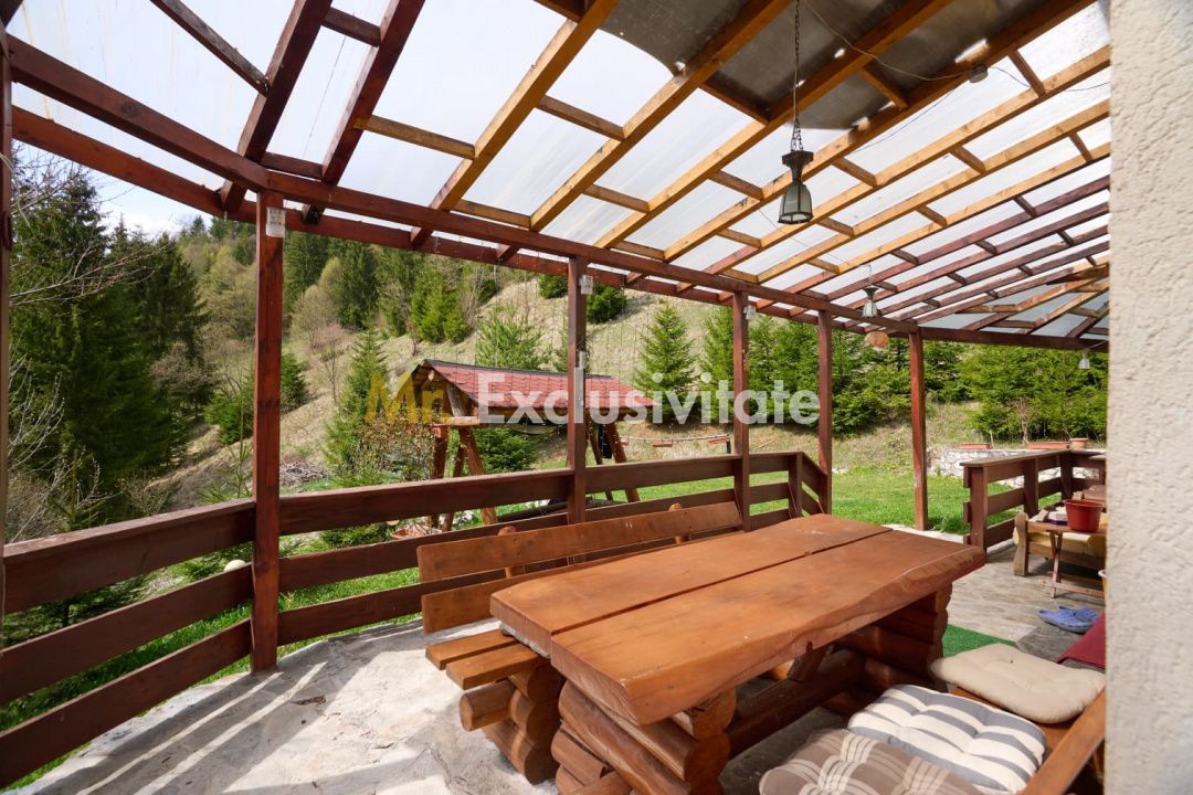 Casa Dambovicioara - CASA de vacanta sau PENSIUNE profitabila - imaginea 3