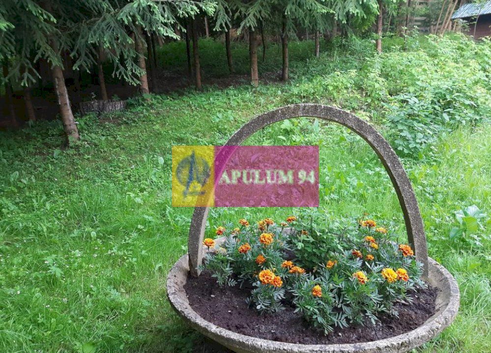 Casă de vânzare în Provița de Jos