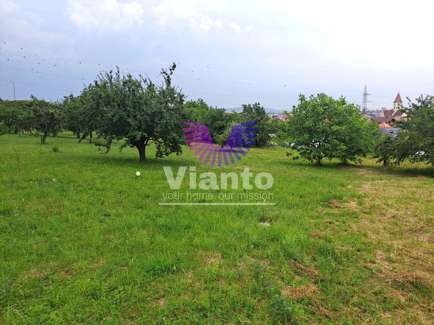 Teren intravilat| Zona rezidentila 1156 mp-TURNISOR