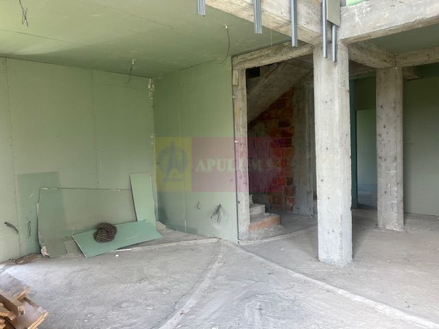 Vila la rosu Zarnesti- Mitropolit Metianu cu vedere superba spre munte