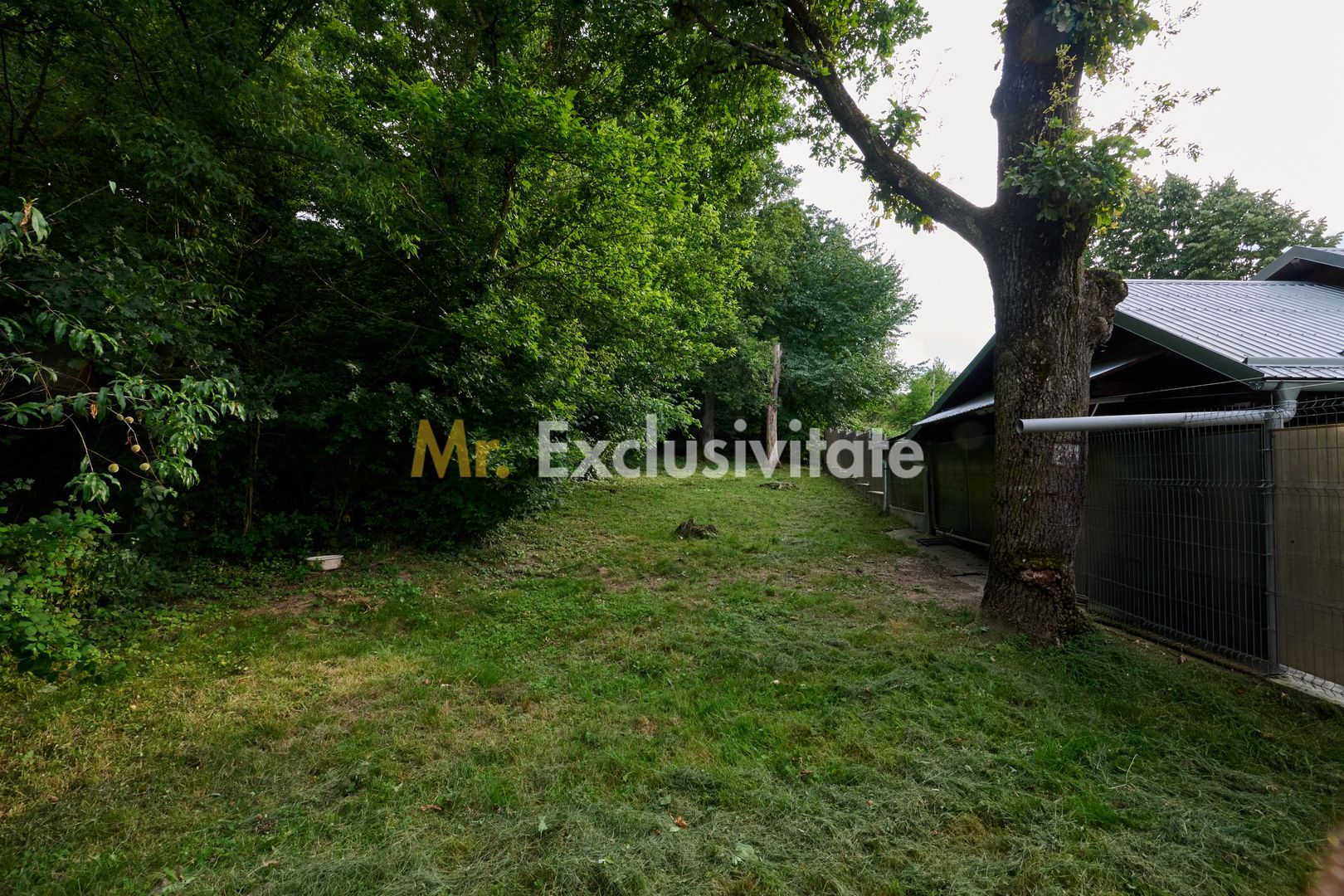 Casă rară în Găvana | Vecină cu pădurea, aproape de toate facilitățile - imaginea 16