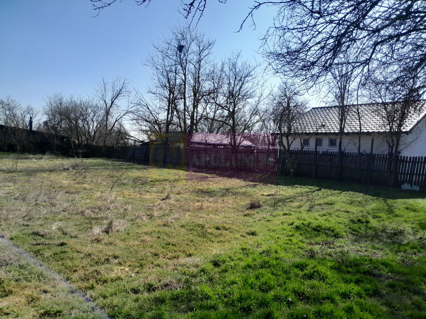 VANZARE TEREN 2000 MP (40M DESCHIDERE) - SAT CHIROIU (IL)