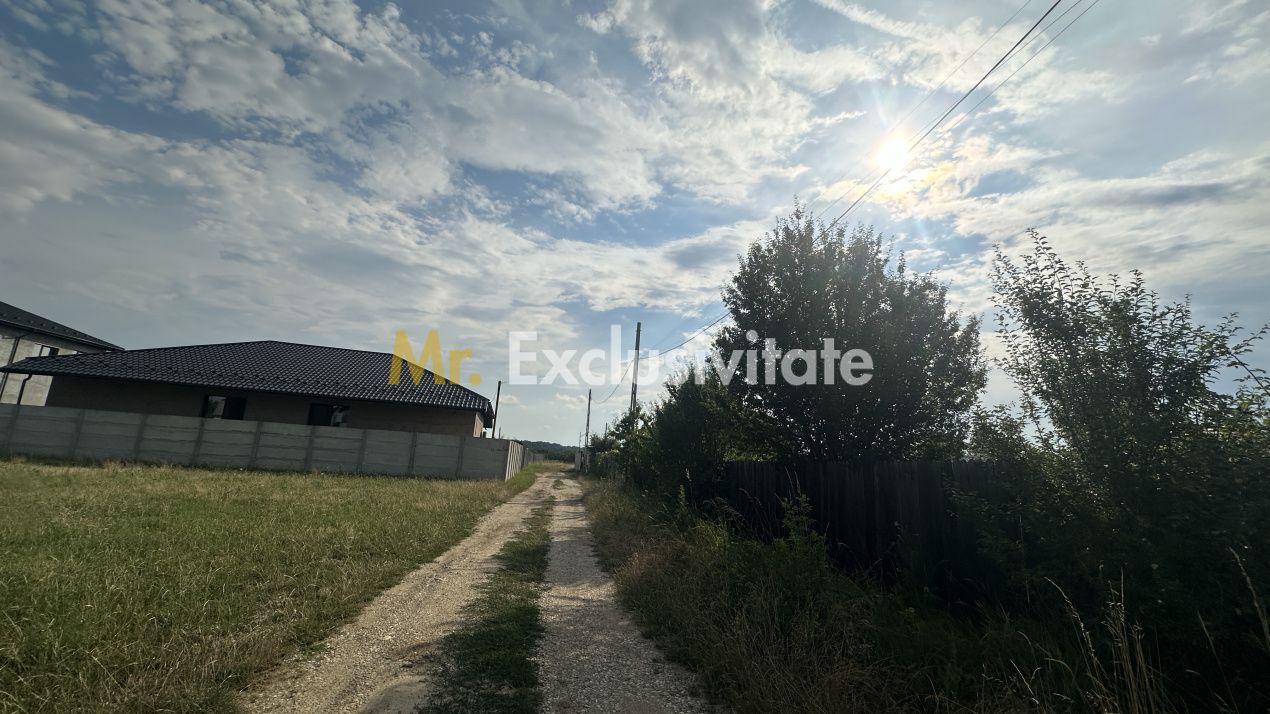Teren intravilan 530 Mp | Albota - imaginea 3