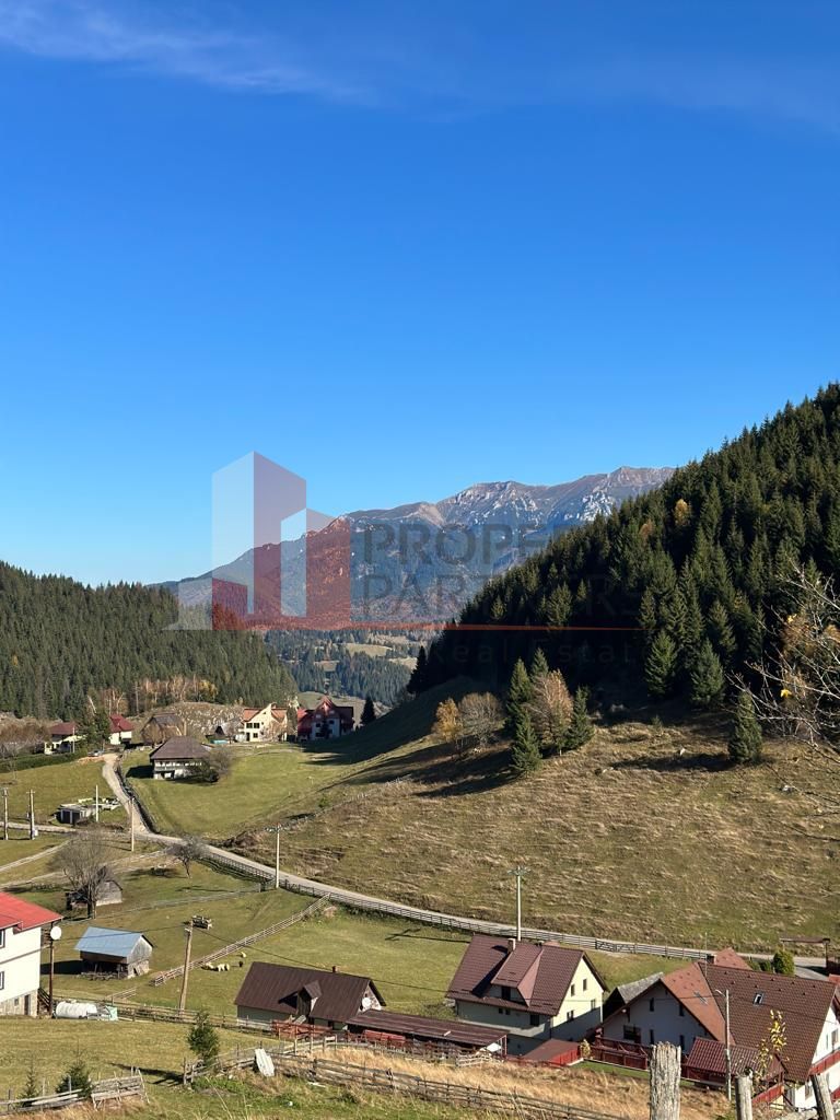 Teren Fundatica intravilan 4500 mp - imaginea 13