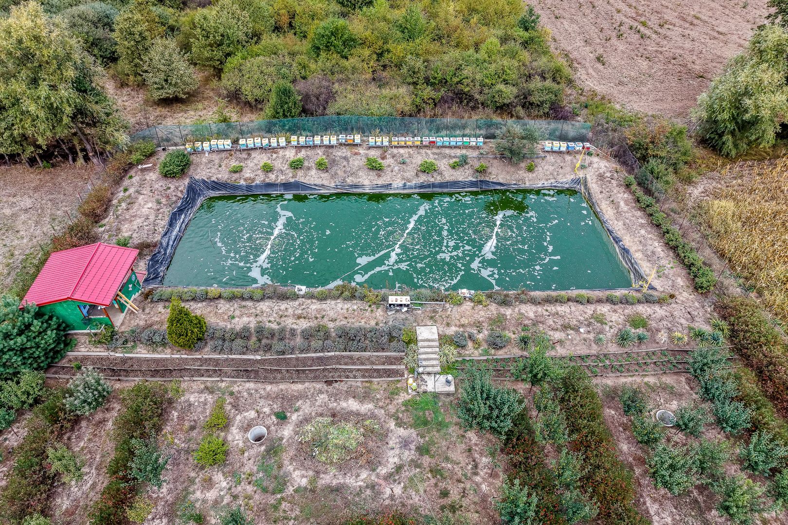 Imagine 4 - 🏡 Mai mult decât o casă: libertatea de a trăi aproape de natură