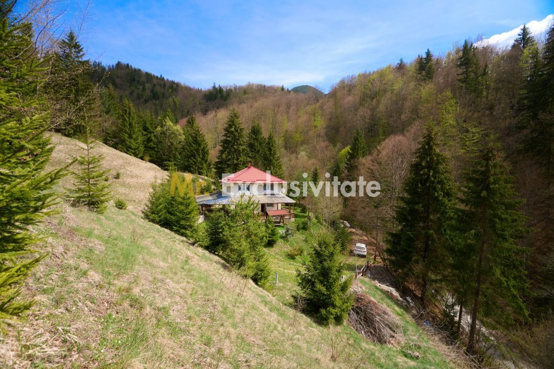Casa Dambovicioara - CASA de vacanta sau PENSIUNE profitabila - imaginea 10