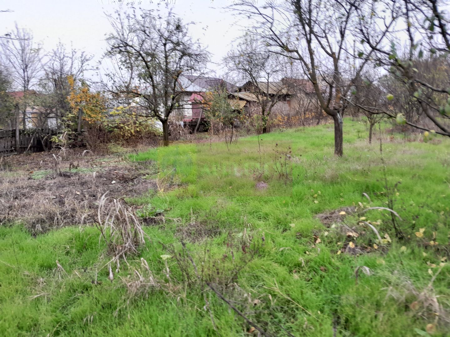 De vanzare casa +teren 16k mp in BARCANESTI / IL