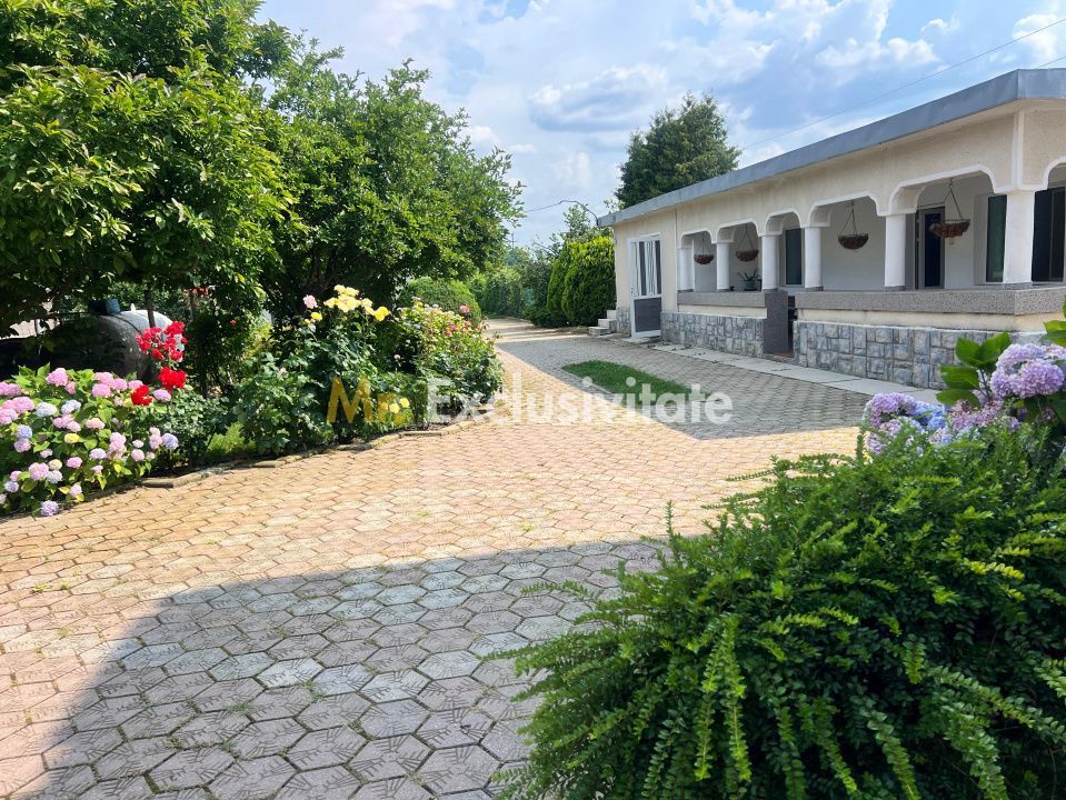 Casa visurilor cu 4000 mp livada roditoare si gradina Darmanesti-Arges - imaginea 29