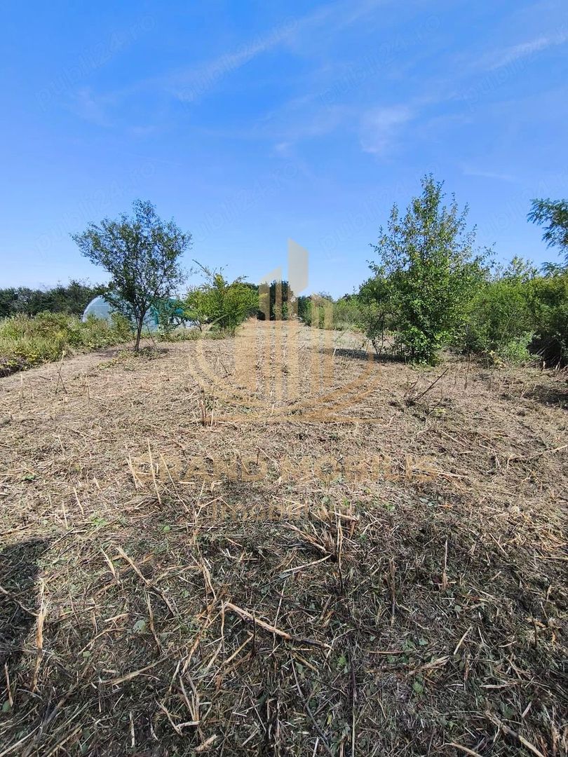 Teren intravilan 5800 mp Plopi – utilitati la poarta, drum asfaltat