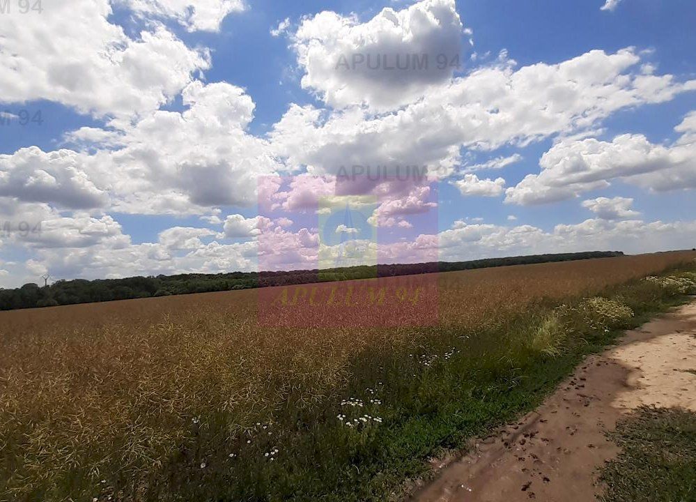 Teren 715mp în Snagov lângă Equestria - imaginea 54