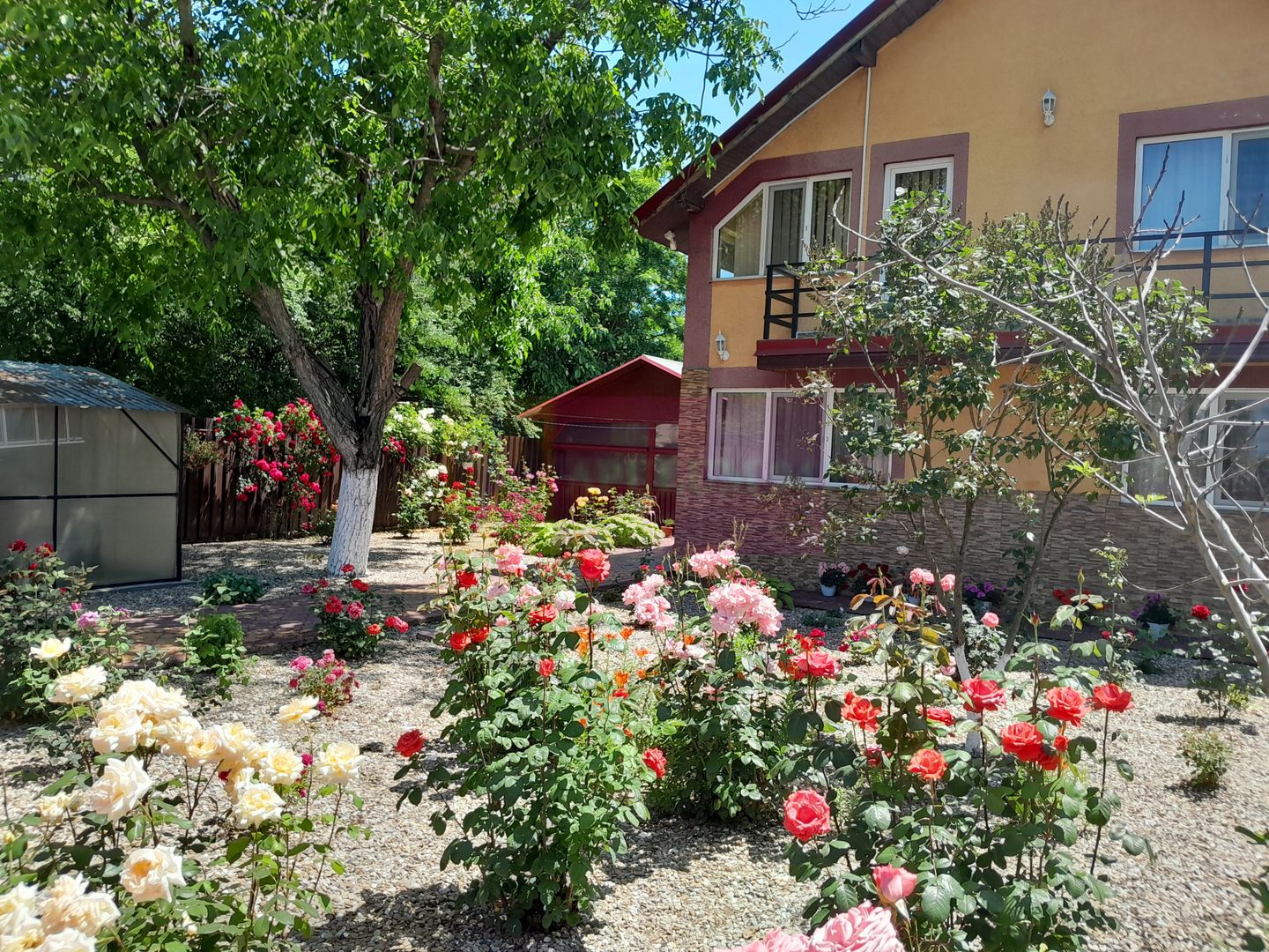 Movilita  (IL) - de vanzare casa 5 cam p+1