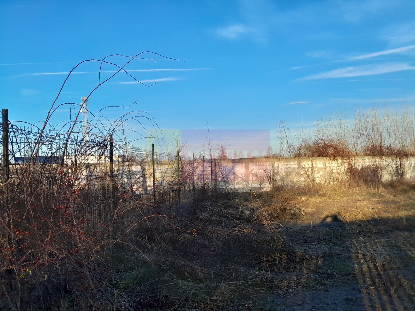 OCAZIE!!! vanzare teren 500 mp Giulesti