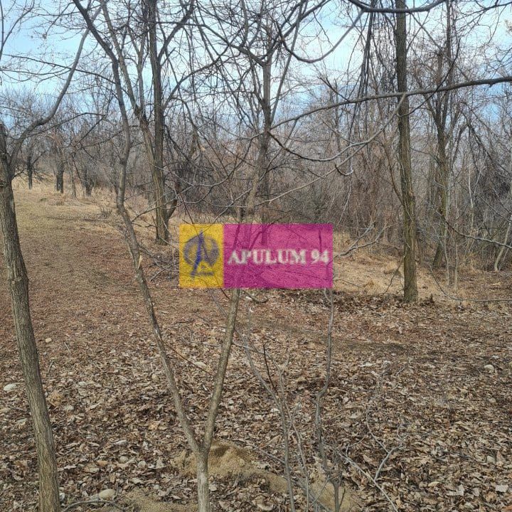 Teren intravilan de vanzare in Cornu de Jos