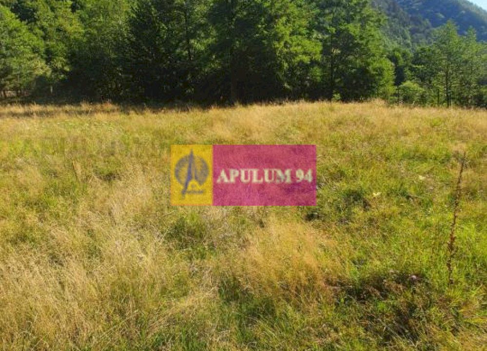 Teren Județul Vâlcea - Brezoi, Valea lui Stan