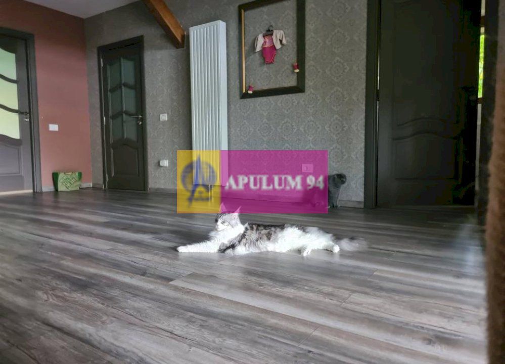 Casă de vânzare în Provița de Jos