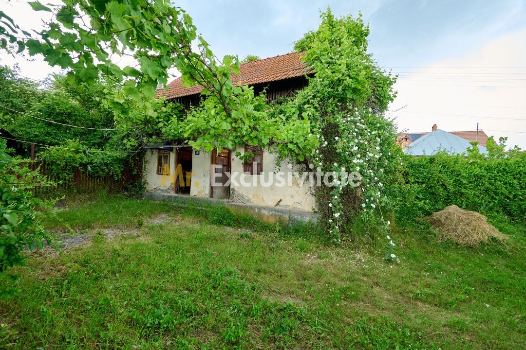 Casa cu teren generos - 4696 mp Apa Sarata - Campulung !! - imaginea 23