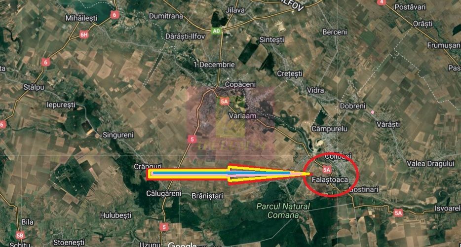Hală producție Ambalaje Carton și casă locuibilă la 25km de București - imaginea 4