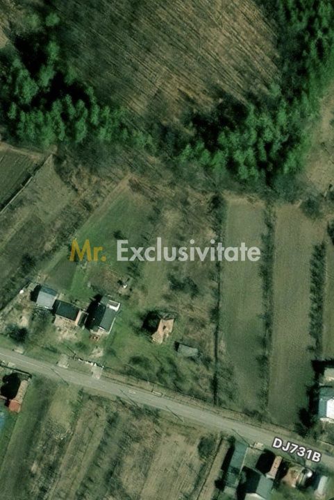 Teren 4226 mp si casa de renovat in loc. Babana, jud. Arges - imaginea 5