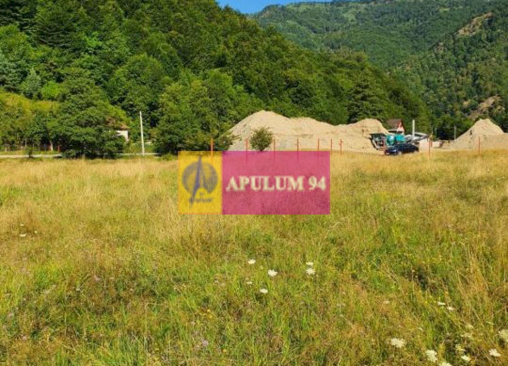 Teren Județul Vâlcea - Brezoi, Valea lui Stan