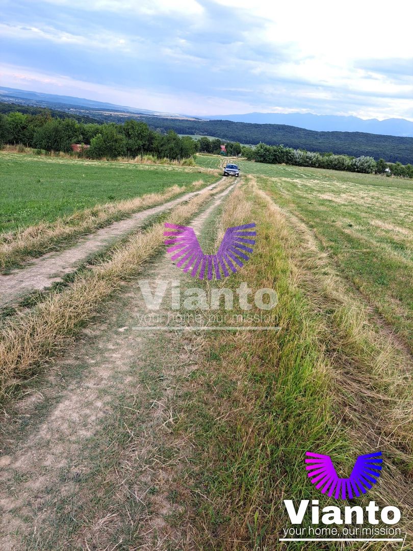 Oportunitate-Teren Extravilan 3100 mp cu vedere Panoramica-Tropinii Noi-Rasinari
