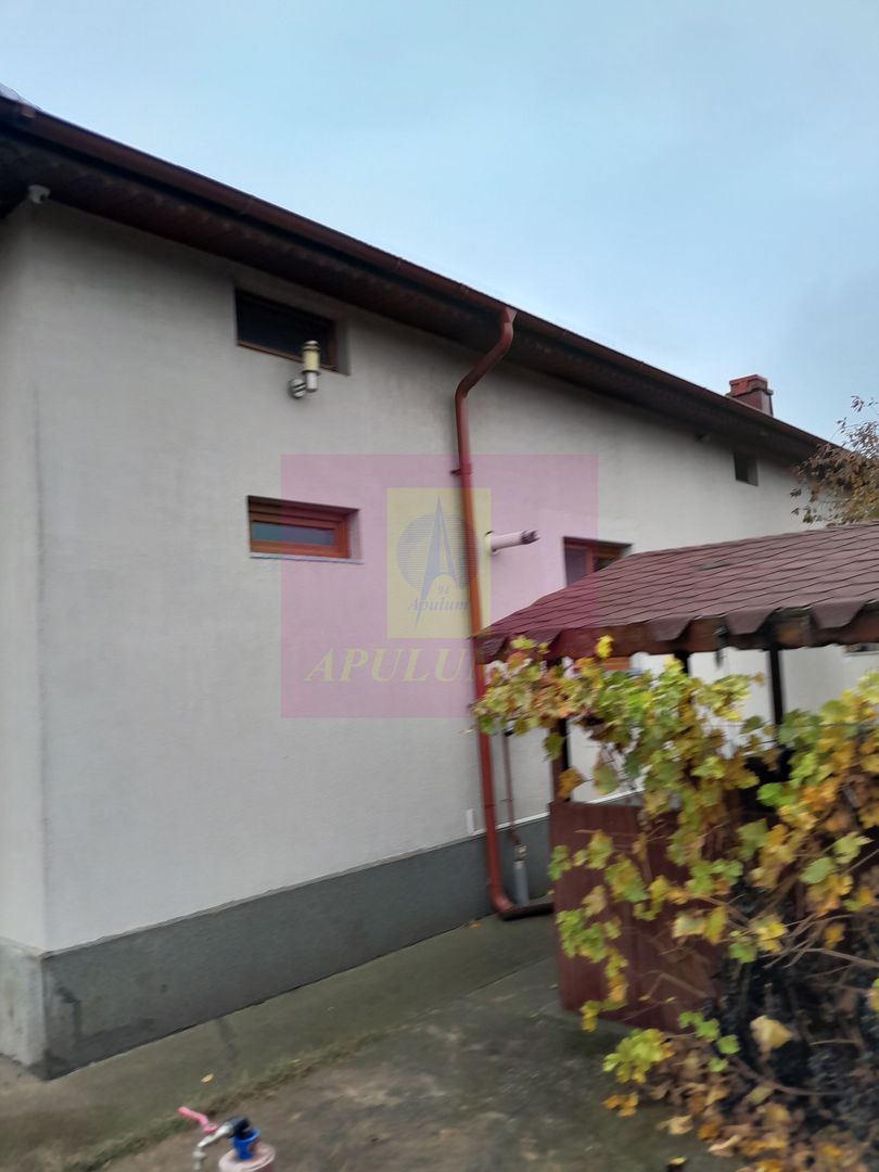 ILFOV - SE VINDE CASA IN ISLAZ / COM. BRANESTI - imaginea 31