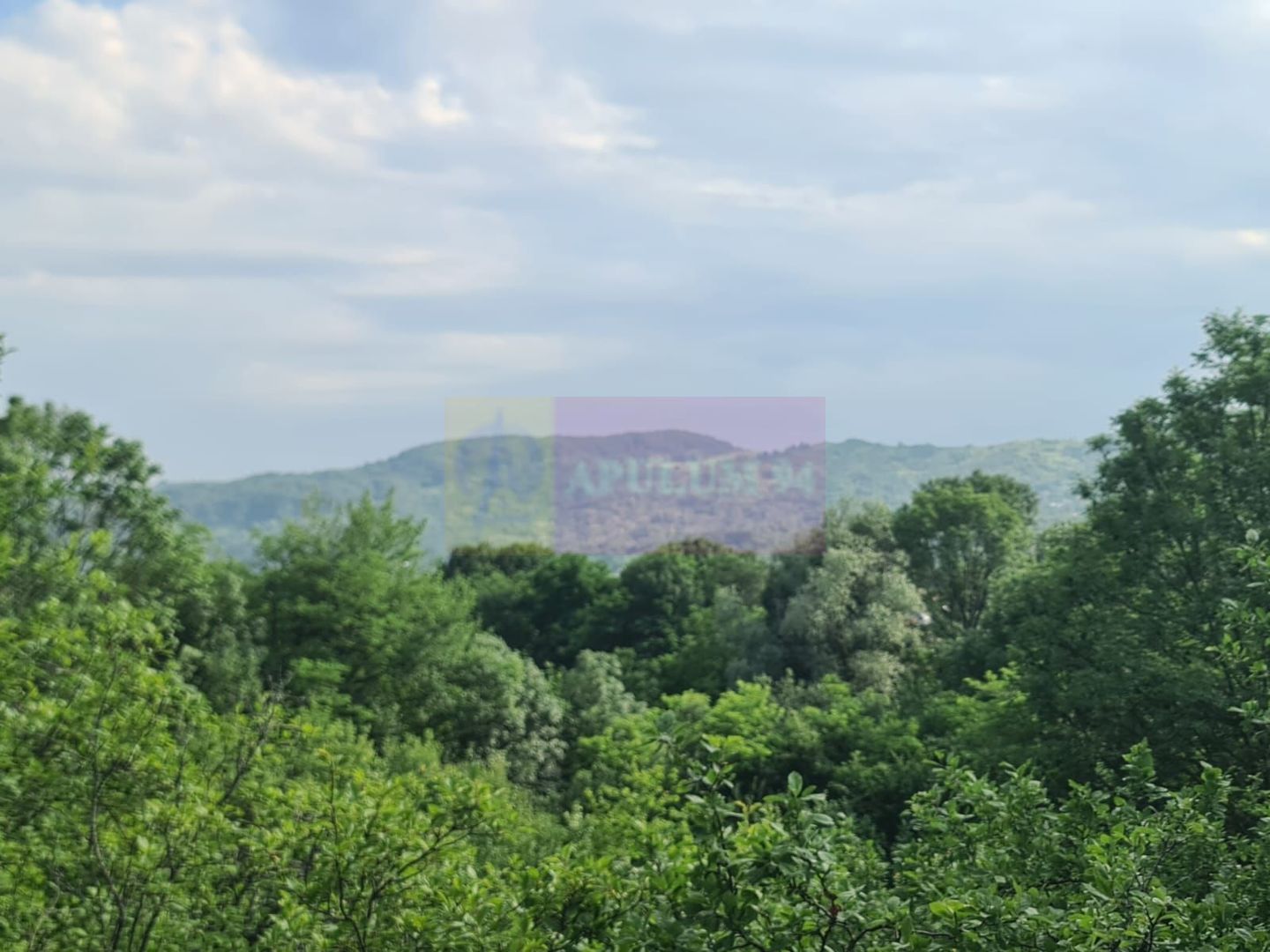 Vila de vanzare cu 6 camere in Cornu (teren 6.600 mp)