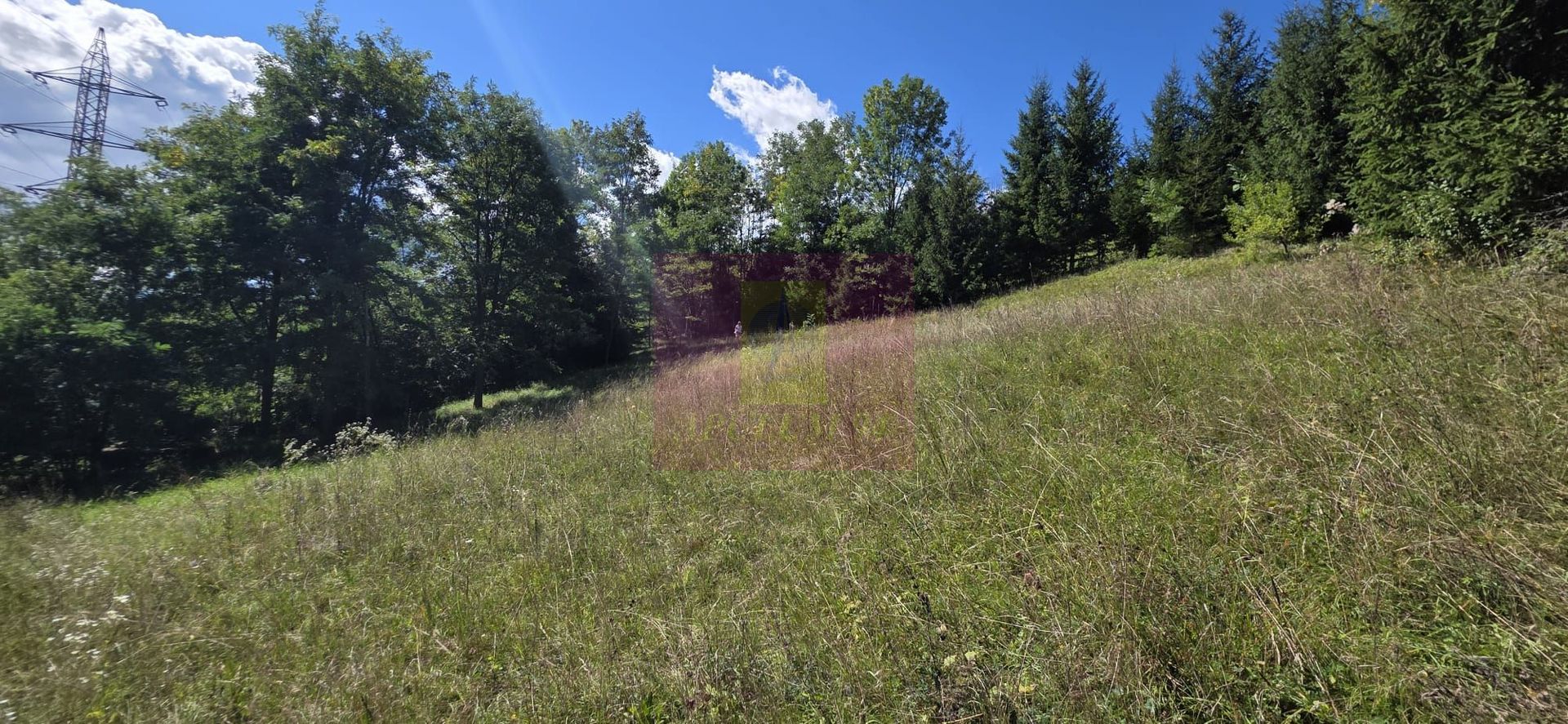 Teren intravilan 1825 mp de vanzare in Valea Doftanei - imaginea 4