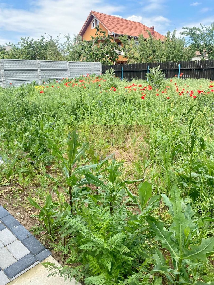 Casa individuala 150mp Teren 384mp | Dimieni, Tunari