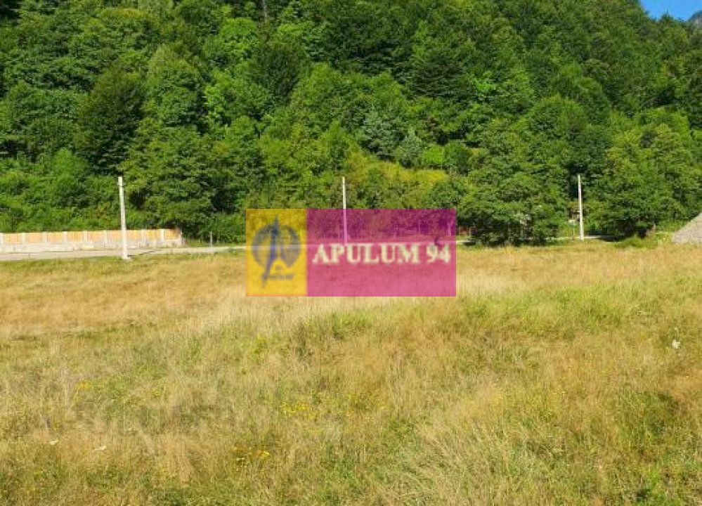 Teren Județul Vâlcea - Brezoi, Valea lui Stan