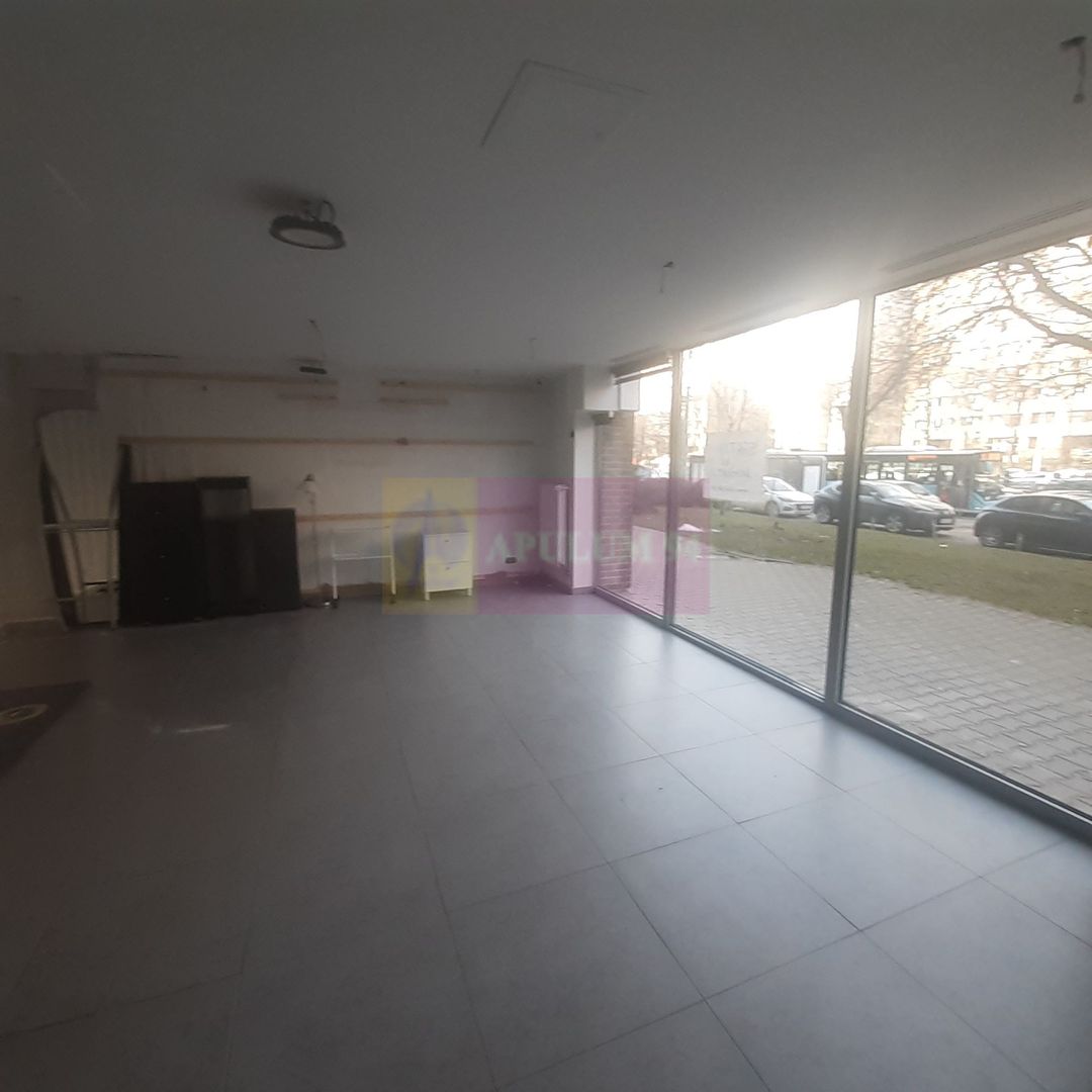 Spatiu Comercial Stradal Șoseaua Colentina zona Teiul Doamnei Suveica