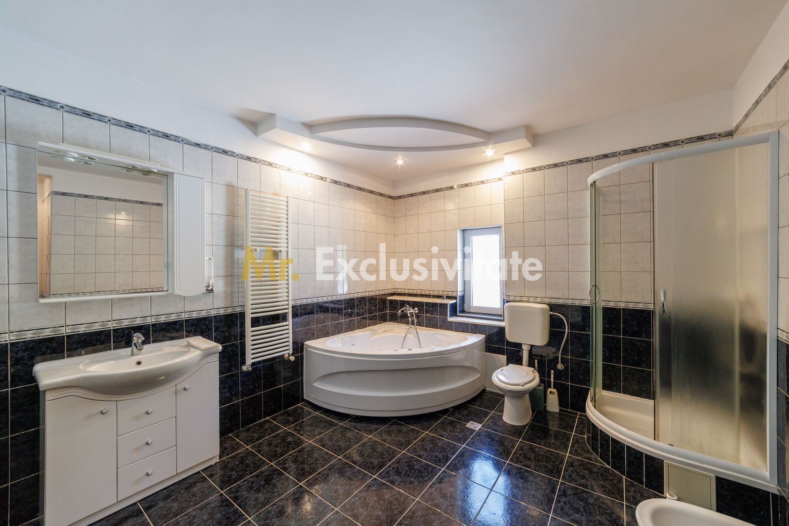 Proprietate multifunctionala | Doua cladiri | 581 mp | Pitesti - imaginea 16