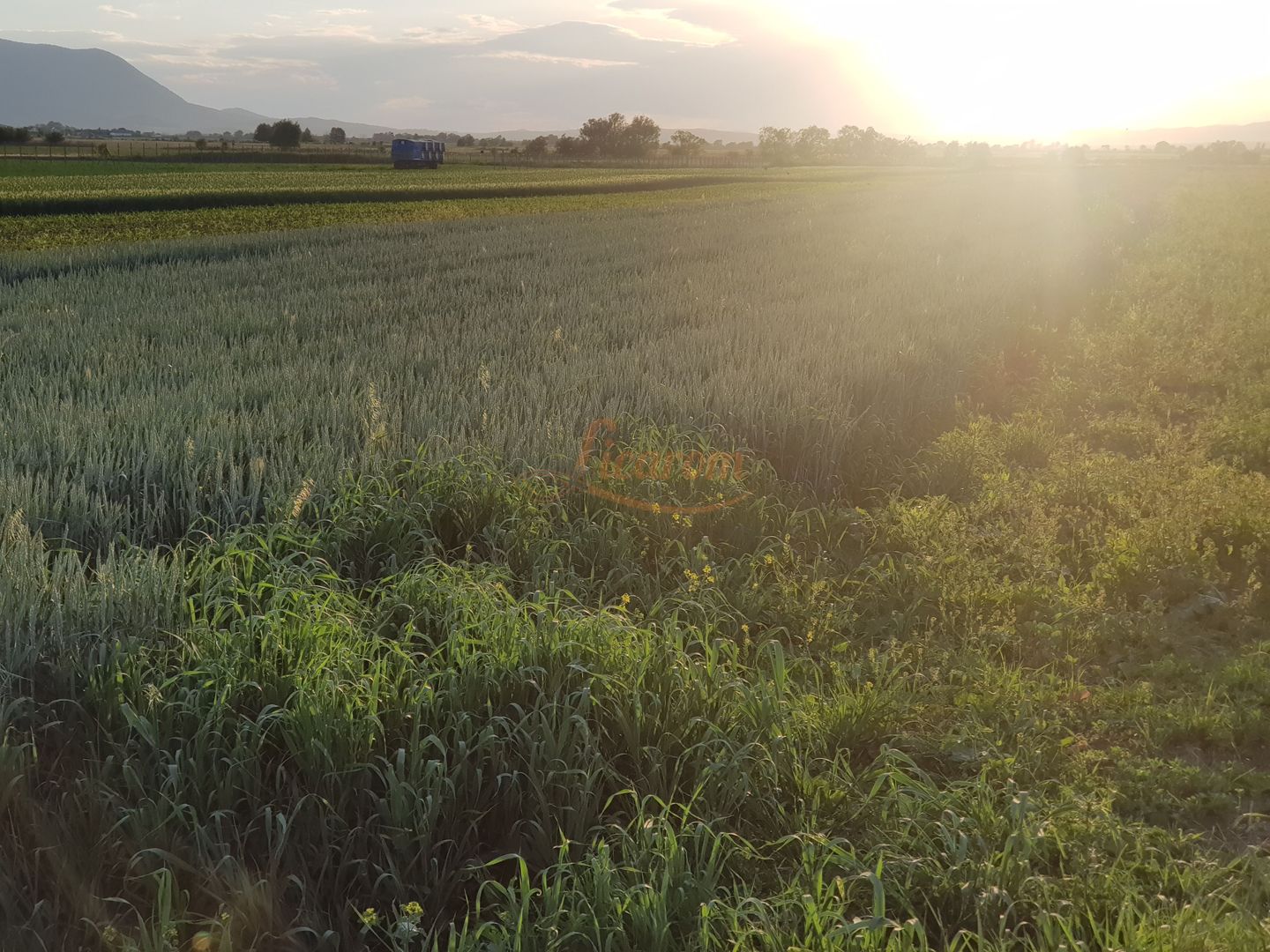 Teren intravilan Stupini front la Calea Feldioarei, DN 13 - imaginea 5