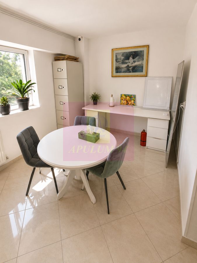 Piata Unirii, Fantani, 5 camere - imaginea 8