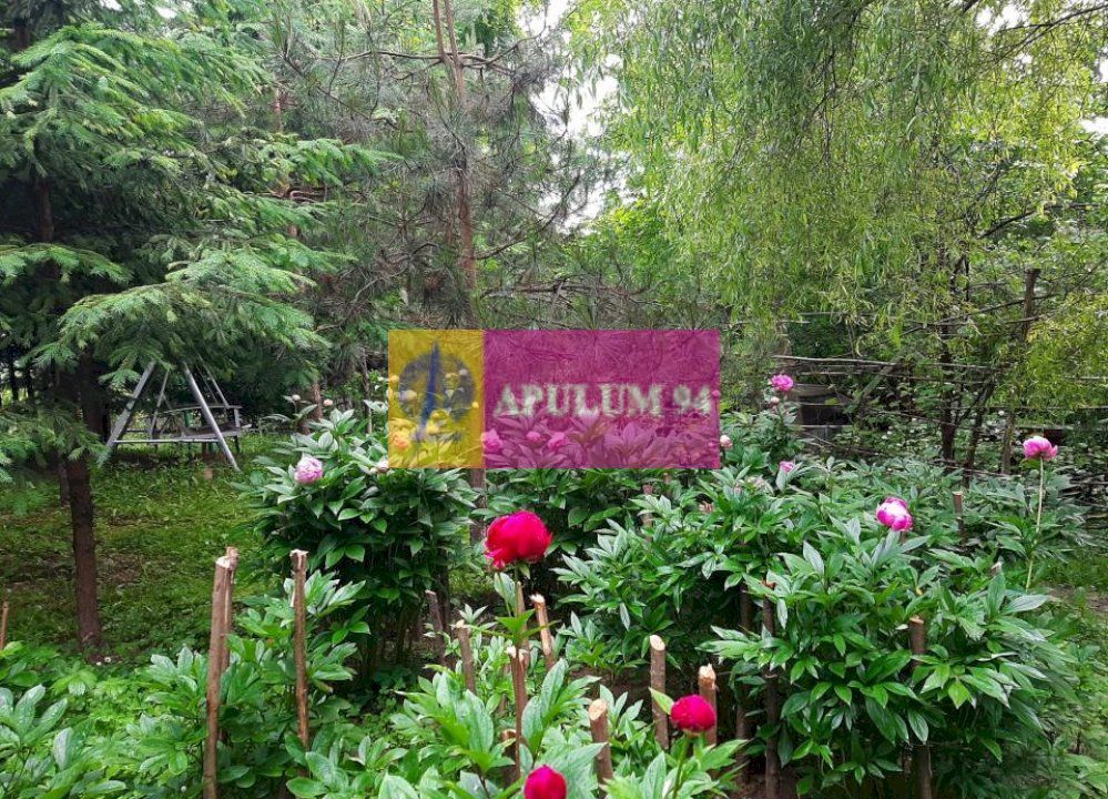 Casă de vânzare în Provița de Jos