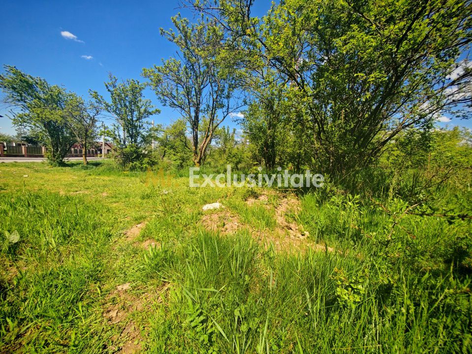 Teren intravilan 2.000 mp in Mioveni – Ideal pentru casa sau investitie! - imaginea 4