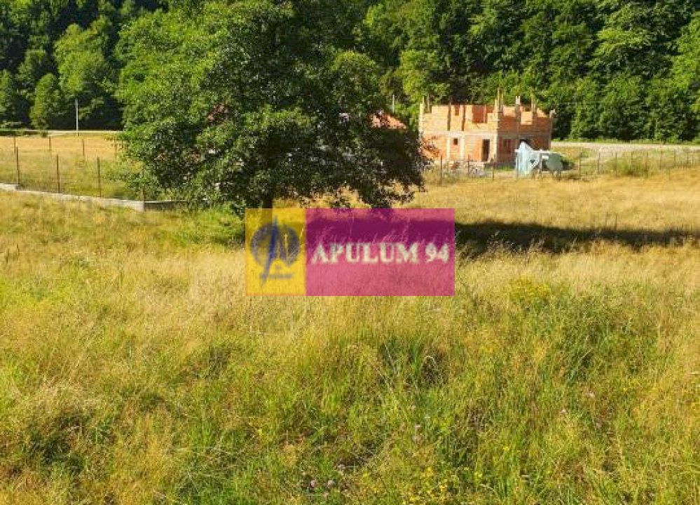 Teren Județul Vâlcea - Brezoi, Valea lui Stan
