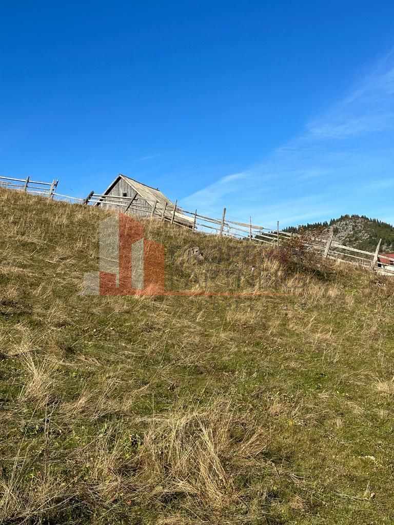 Teren Fundatica intravilan 4500 mp - imaginea 10