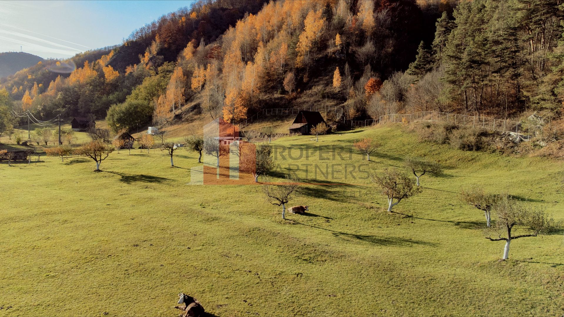Teren 15.941 mp Moieciu | parcelabil | aproape de Castelul Bran - imaginea 6