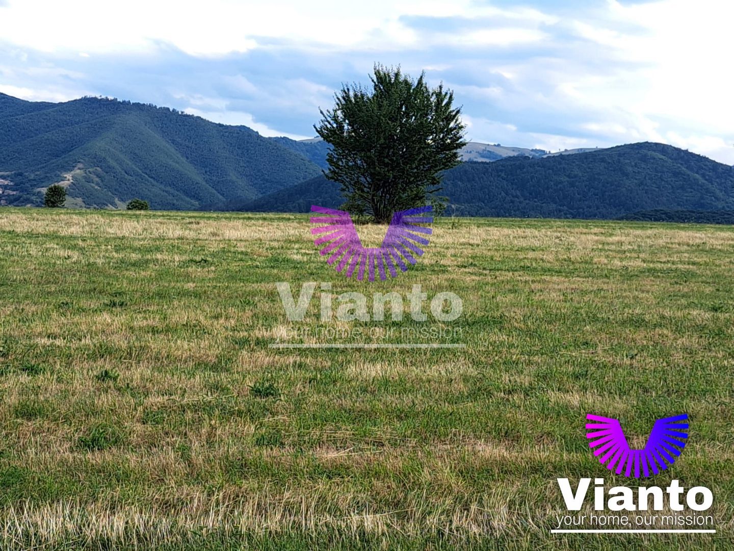 Oportunitate-Teren Extravilan 3100 mp cu vedere Panoramica-Tropinii Noi-Rasinari