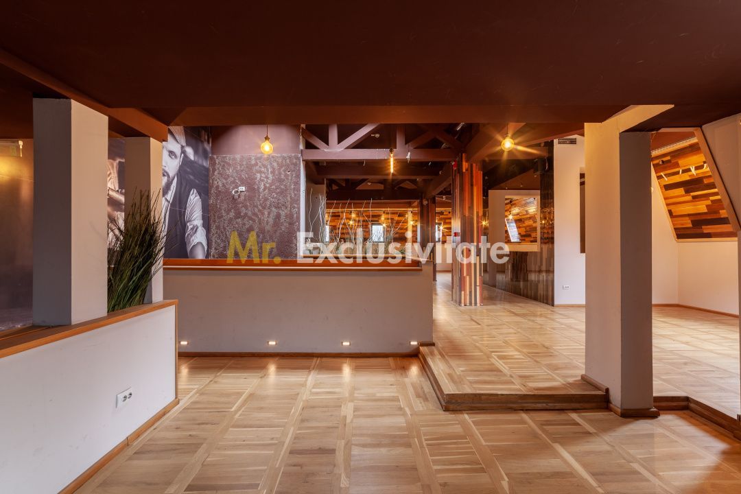 Spatiu comercial premium in vila – Bd. Republicii, Pitesti - imaginea 14