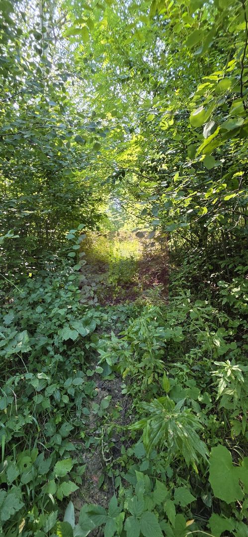 Teren intravilan de vanzare in Lunca Mare (la 10 km de Valea Doftanei)