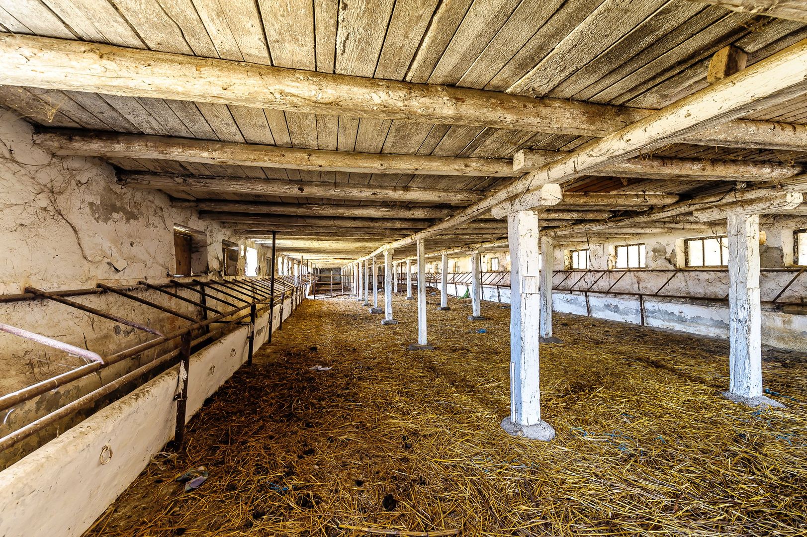 Imagine 5 - Fermă Mândruloc 2,5 ha