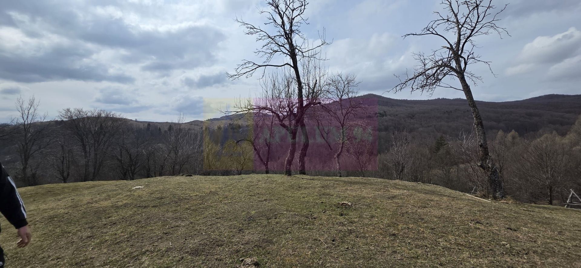 Teren intravilan 2200 mp de vanzare in Valea Doftanei