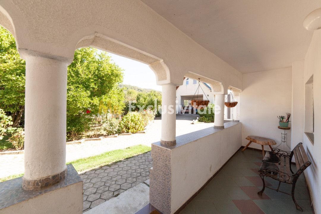 Casa visurilor cu 4000 mp livada roditoare si gradina Darmanesti-Arges - imaginea 11