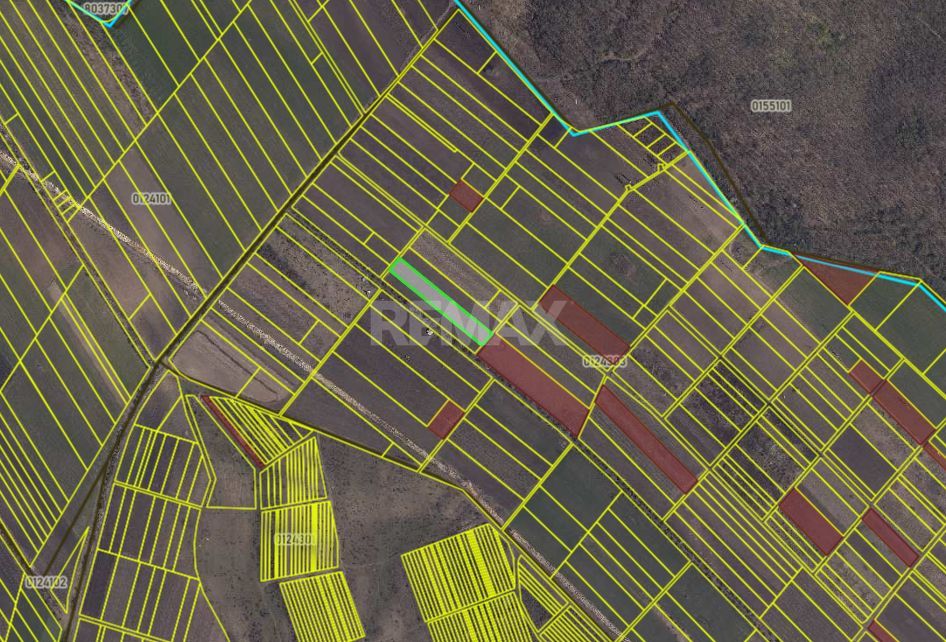 Teren agricol de 40 ari în Ghidighici – oportunitate pentru investiție sau activitate agricolă - imaginea 7