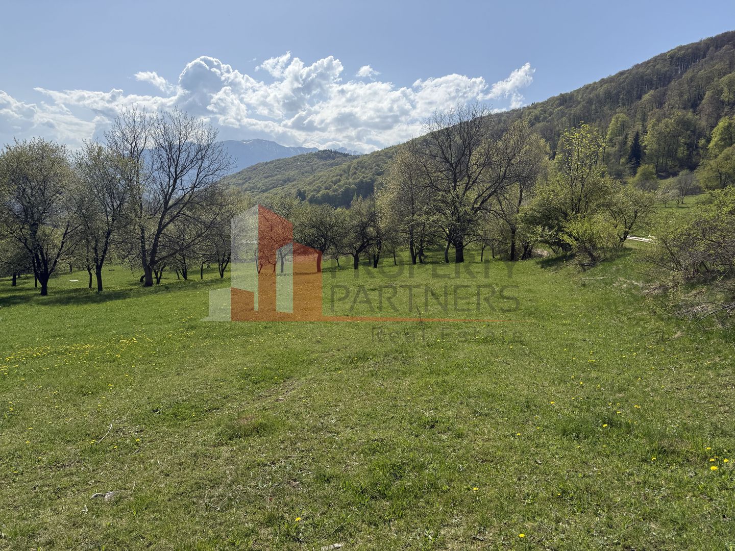 Terenuri Bran - Predelut  Priveliște către Bucegi și Postăvaru