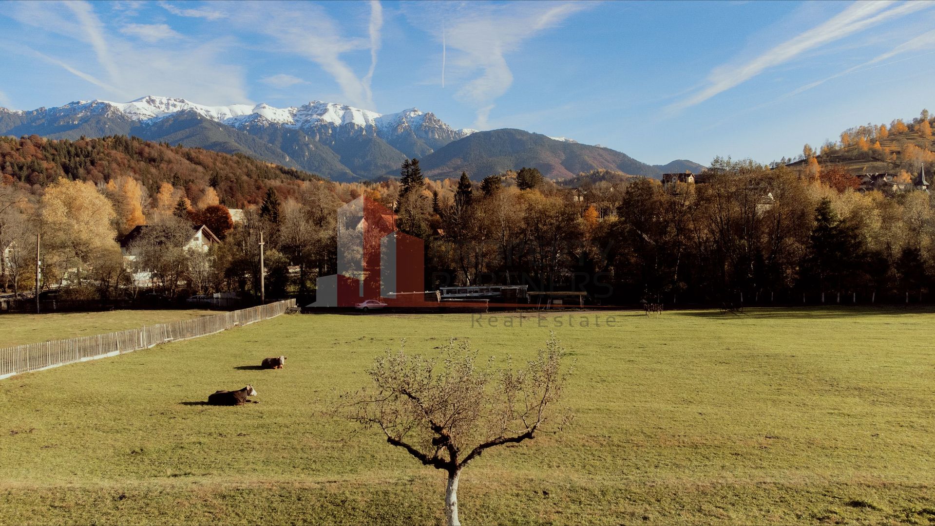 Teren 15.941 mp Moieciu | parcelabil | aproape de Castelul Bran - imaginea 4
